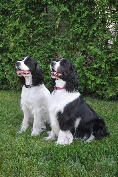 Rose & Lucy