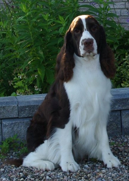 Ruthi (July 2010)