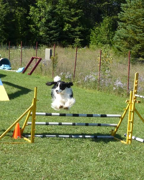 Rylee