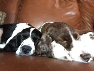 Rylee and friend