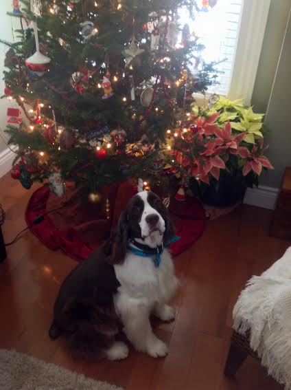 Samson