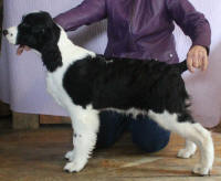 Samson