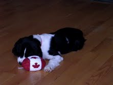 Shaylie and our CDN flag