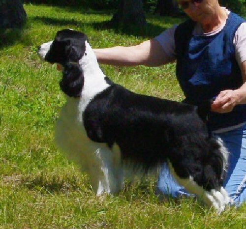 Mya