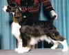 Farley