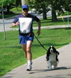 English Springer Spaniel image: Karmadi's Working For A Living 'Trevor'