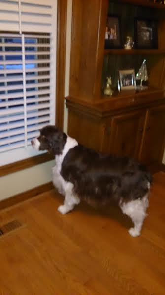 Tucker