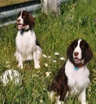 Zach & Shiloh