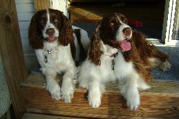 Zoe and friend